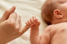 0 - 3 Meses